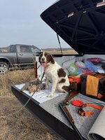 IMG_20260104_161306(1)(1).jpg IMG_20260104_161306(1)(1).jpg