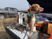 IMG_20260104_161333(1)(1).jpg IMG_20260104_161333(1)(1).jpg