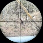 IMG_3324.jpeg IMG_3324.jpeg