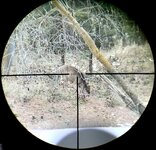 IMG_3326.jpeg IMG_3326.jpeg