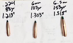 IMG_3329.jpeg IMG_3329.jpeg