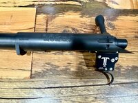 IMG_1200.jpeg IMG_1200.jpeg