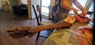 20211022_122829.jpg.0ab80bc83c295029d3744b4deb86e07a.jpg 20211022_122829.jpg.0ab80bc83c295029d3744b4deb86e07a.jpg