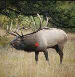 IMG_5392.jpeg IMG_5392.jpeg