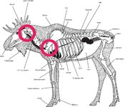 1000010546.jpg 1000010546.jpg