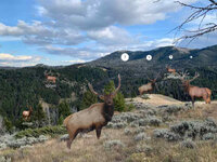 DFAT_RokslideHuntTestElk_iPadGen8At12ft.jpg DFAT_RokslideHuntTestElk_iPadGen8At12ft.jpg