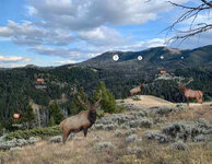 DFAT_RokslideHuntTestElk_8AndAHalfBy11PaperAt12ft.jpg DFAT_RokslideHuntTestElk_8AndAHalfBy11PaperAt12ft.jpg