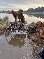 IMG_2023.jpeg IMG_2023.jpeg