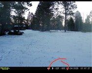 IMG_8135.jpeg IMG_8135.jpeg