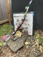 IMG_9247.jpeg IMG_9247.jpeg