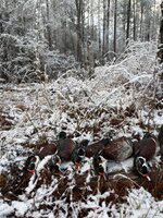 IMG_5265.jpeg IMG_5265.jpeg