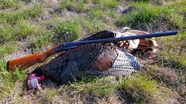 20210425_091612-01.jpeg 20210425_091612-01.jpeg