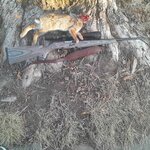 558179828_1521122959027689_8595258987191263546_n (2).jpg