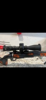 Screenshot_20260128_104817_Gallery.jpg Screenshot_20260128_104817_Gallery.jpg