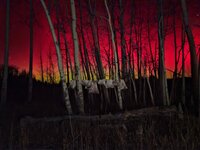 20251111_193342.jpg 20251111_193342.jpg