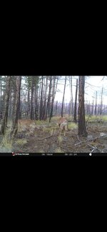 Screenshot_20240827_104114_Photos.jpg Screenshot_20240827_104114_Photos.jpg