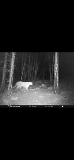 Screenshot_20250330_222550_Gallery.jpg Screenshot_20250330_222550_Gallery.jpg