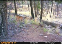 Screenshot_20260106_192613_Gallery.jpg Screenshot_20260106_192613_Gallery.jpg