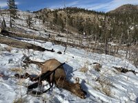 IMG_0102.jpeg IMG_0102.jpeg