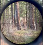 IMG_4547.jpeg IMG_4547.jpeg