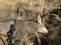 IMG_4866.jpeg IMG_4866.jpeg