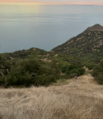 1769713886686.png 1769713886686.png