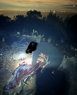 1769713906949.png 1769713906949.png