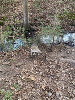 IMG_8266.jpeg IMG_8266.jpeg