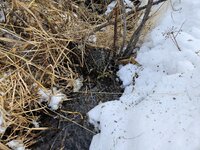 1000001642.jpg 1000001642.jpg