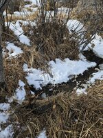 1000001641.jpg 1000001641.jpg