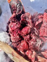 IMG_1584.jpeg IMG_1584.jpeg