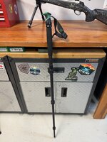 IMG_9499.jpeg IMG_9499.jpeg