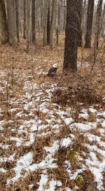 IMG_1675.jpeg IMG_1675.jpeg