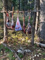 IMG_5074.jpeg IMG_5074.jpeg