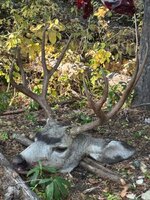 IMG_5073.jpeg IMG_5073.jpeg