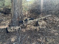 IMG_7808.jpeg IMG_7808.jpeg