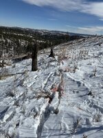 IMG_0100.jpeg IMG_0100.jpeg