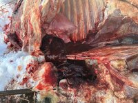 IMG_0111.jpeg IMG_0111.jpeg