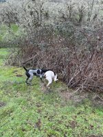 IMG_9194.jpeg IMG_9194.jpeg