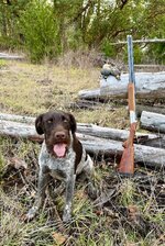 IMG_9202.jpeg IMG_9202.jpeg