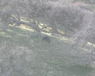 Screenshot 2026-02-01 at 6.34.29 PM.png