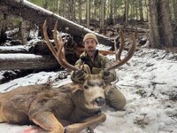 Kootenaybackwoods Mule Deer.jpeg Kootenaybackwoods Mule Deer.jpeg