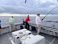 IMG_3971.jpeg IMG_3971.jpeg