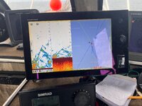 IMG_3977.jpeg IMG_3977.jpeg