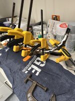 IMG_2530.jpeg IMG_2530.jpeg