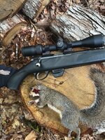 Tikka T1x squirrel 1.jpeg