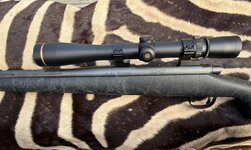 IMG_1585.jpg IMG_1585.jpg