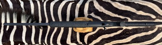 IMG_1582 (1).jpg IMG_1582 (1).jpg