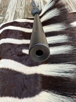 IMG_1591.jpg IMG_1591.jpg