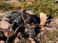 Wade Schults_CO-UT Mosse_01.jpg Wade Schults_CO-UT Mosse_01.jpg